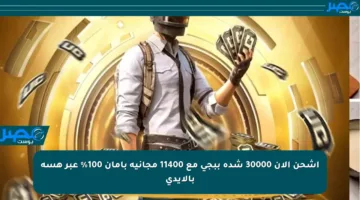 اشحن الآن 30000 شدة ببجي مع 11400 مجانية بأمان 100% عبر هسه بالأيدي